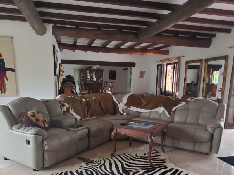 Grand open-plan living room with artisan finishes
