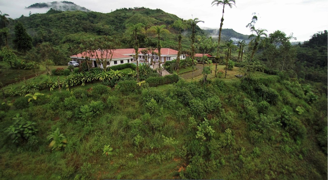 Aerial view of the estate