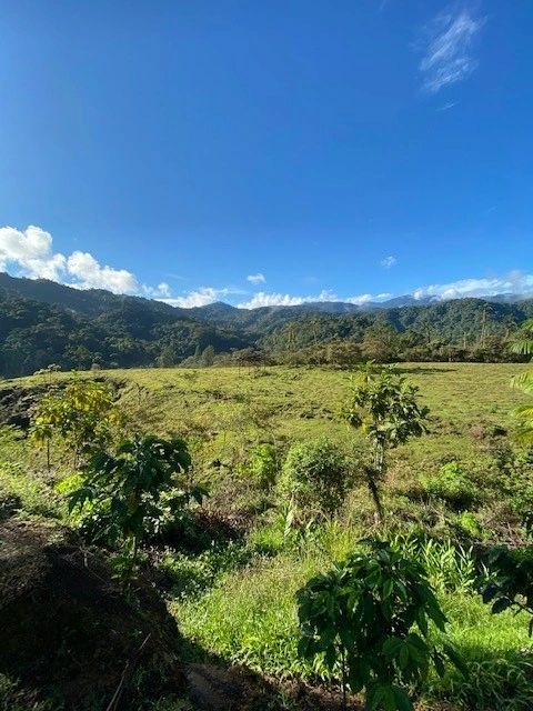 Sweeping land views across the 315-acre estate