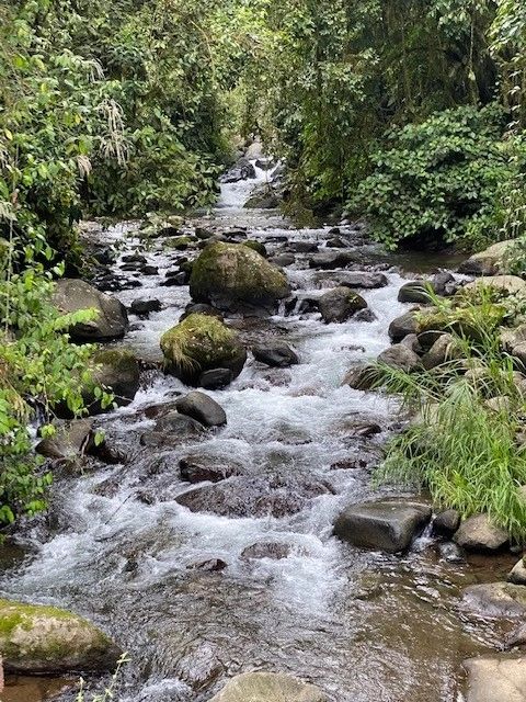 Natural spring-fed water source on the property